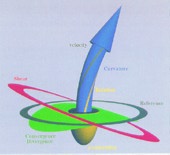 Tensor probe