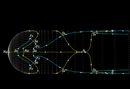 Topology