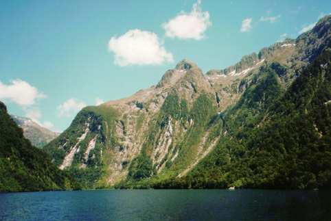 Doubtful Sound arm