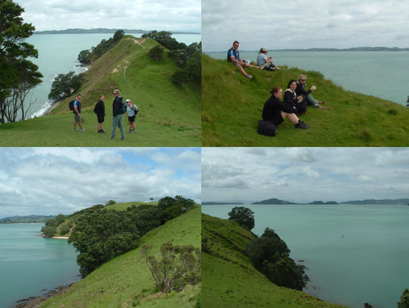 Whakakaiwhara point