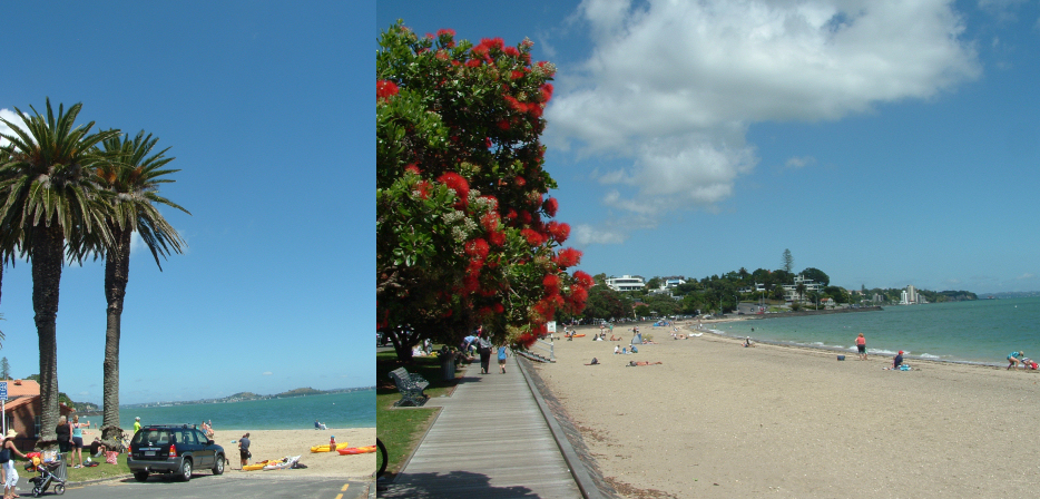 st heliers bay