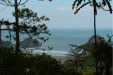 Piha Valley track