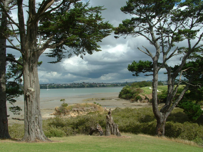 Waiotaiki Nature Reserve