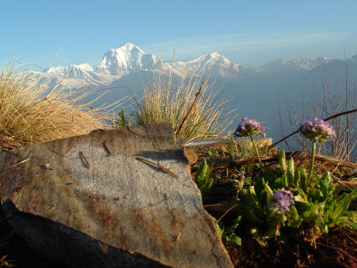 Dhaulagiri