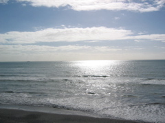 westcoast2