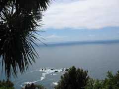 westlandcoast2