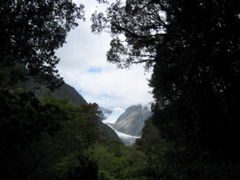 foxglacier2