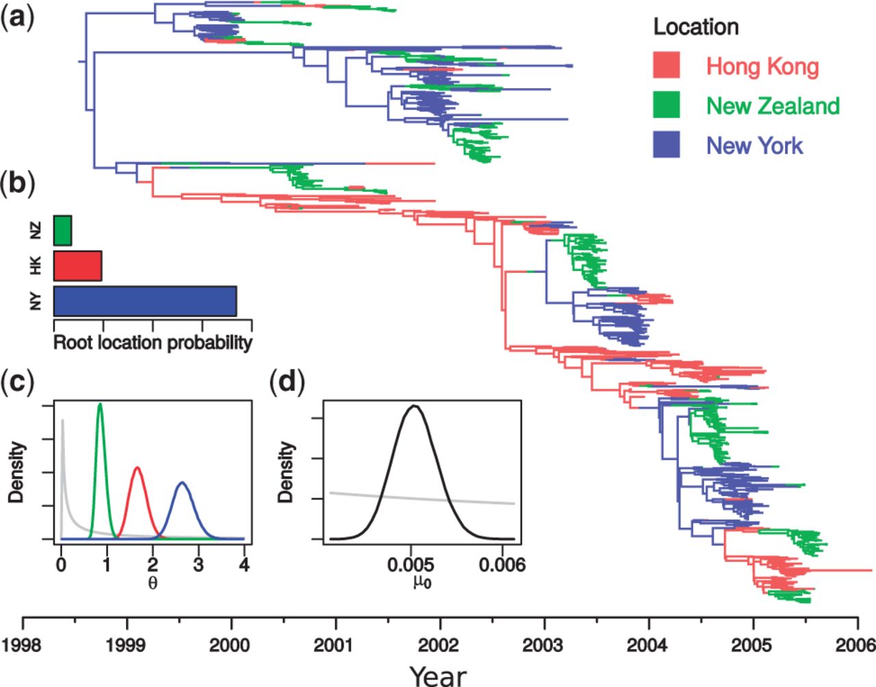 Efficient Bayesian inference under the structured coalescent