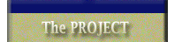 The Project