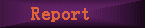 Report
