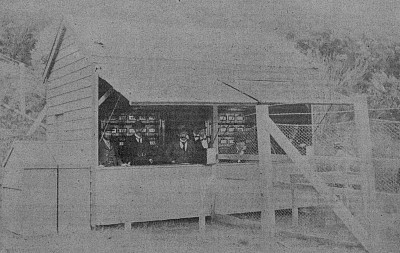 Tote House, Coromandel 1899(Click the thumbnail to see the original image)