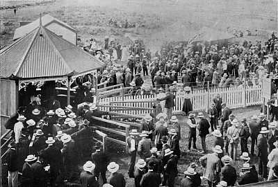 Tote House, Waihi 1906(Click the thumbnail to see the original image)