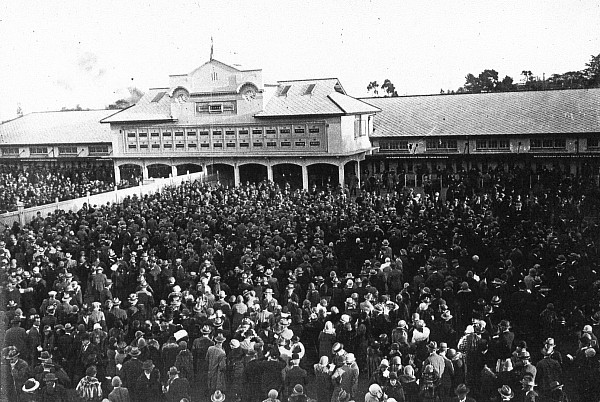 New tote building at Ellerslie(Click the thumbnail to see the original image)