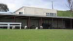 Tote House at Dargaville(Click the thumbnail to see the original image)