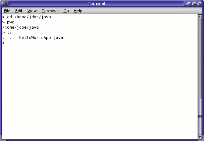 Results of the ls command, showing the .java source file.