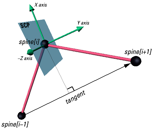 Spine-aligned cross-section plane at a spine point