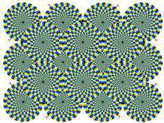 see it