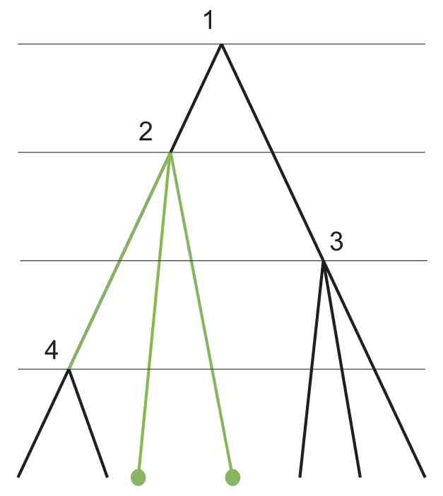 Recursive algorithms for phylogenetic tree counting