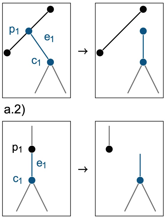 Bayesian Inference of Sampled Ancestor Trees for Epidemiology and Fossil Calibration