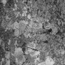bark0001.bmp.jpg