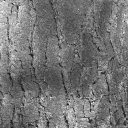 bark0008.bmp.jpg