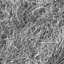 grass02.bmp.jpg