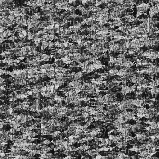 bark0000_g.bmp.jpg