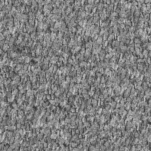 bark0012_g.bmp.jpg