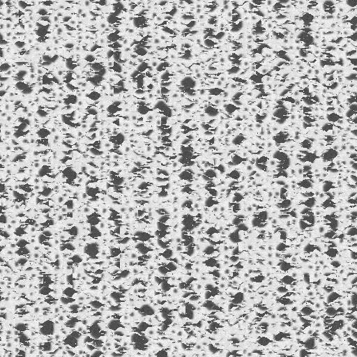 d102_g.bmp.jpg