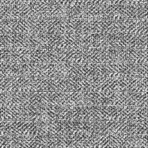 d17_g.bmp.jpg