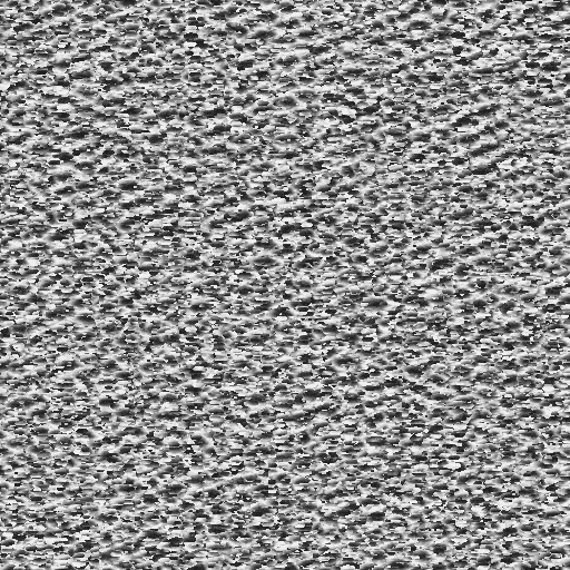 d36_g.bmp.jpg