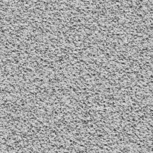d57_g.bmp.jpg