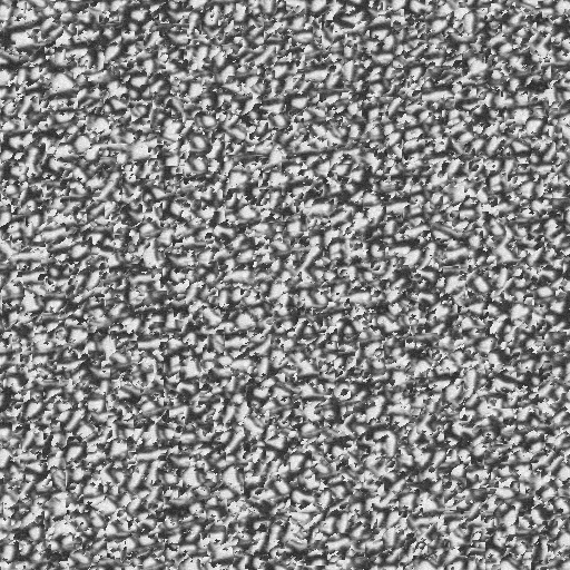 d87_g.bmp.jpg