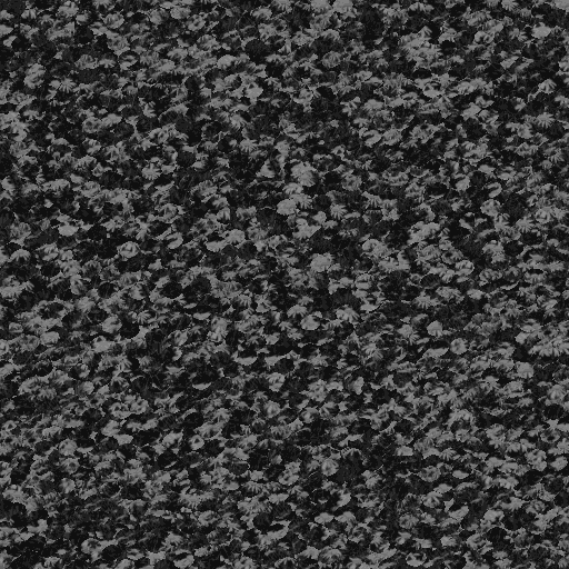 flowe01_g.bmp.jpg