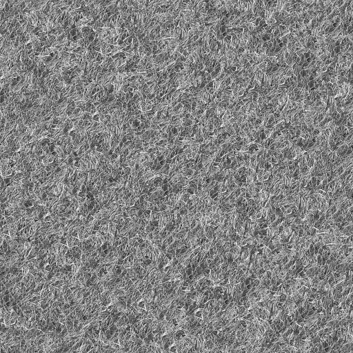 grass02_g.bmp.jpg