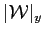 $ \vert\mathcal{W}\vert _y$