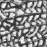\includegraphics[width=0.6in]{d87.bmp.eps}