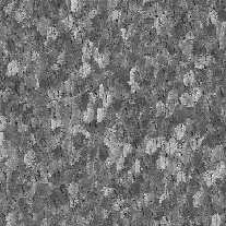 \includegraphics[width=1.8in]{bark0008_g.bmp.eps}