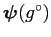 $ \boldsymbol{\psi}(g^\circ) $