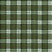\includegraphics[width=1.8in]{plaid_t_g.bmp.eps}