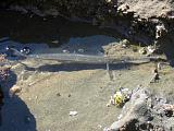 img_1984.jpg
