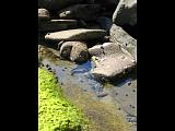 img_1994.jpg