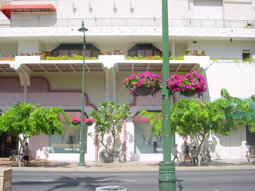 167.jpg